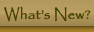 What is New?